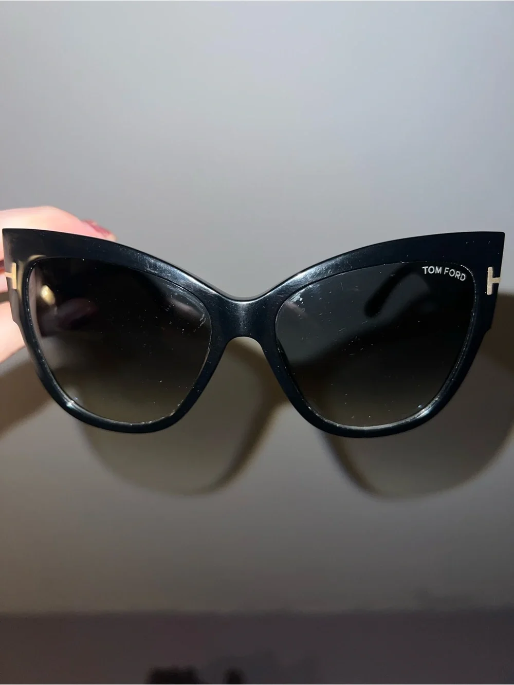 Tom Ford Anoushka Sunglasses